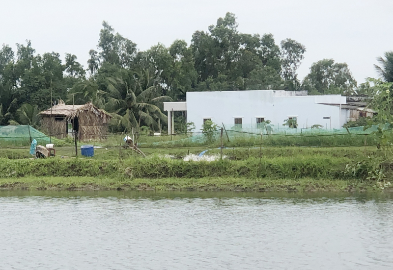 Một phụ nữ ở Bạc Liêu bị quạt tạo oxy cuốn tử vong -0