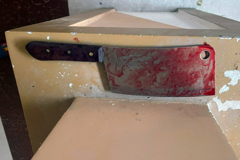 Chồng sát hại vợ và con trai rồi gọi điện Công an đầu thú -0