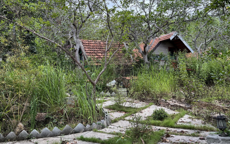  Kiên quyết tháo dỡ khu du lịch xây dựng trái phép trên đất rừng -1