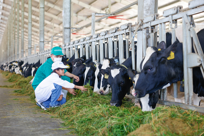 Những khoảnh khắc đẹp trên hành trình của Quỹ sữa Vươn cao Việt Nam năm thứ 15 -0