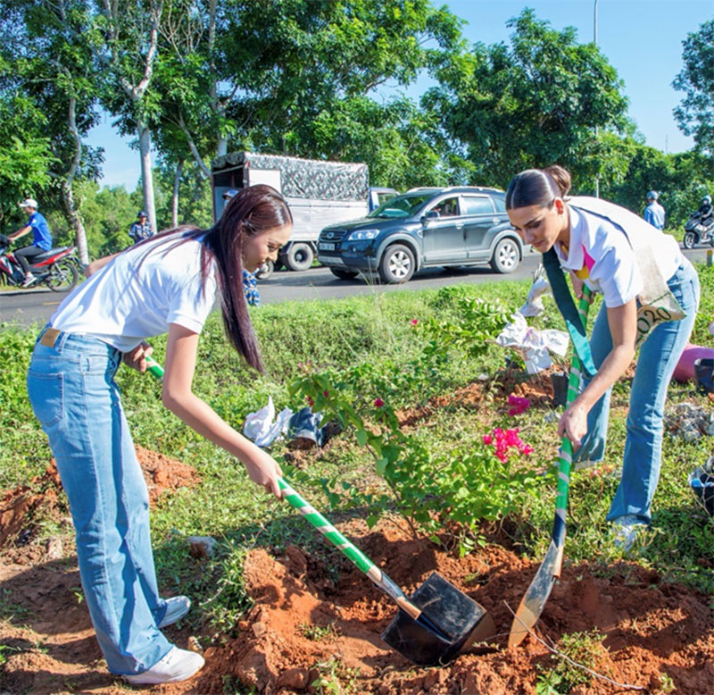 “Triệu cây xanh cho cuộc sống bừng sáng” - từ hành động nhỏ tới mục tiêu phát triển bền vững -0