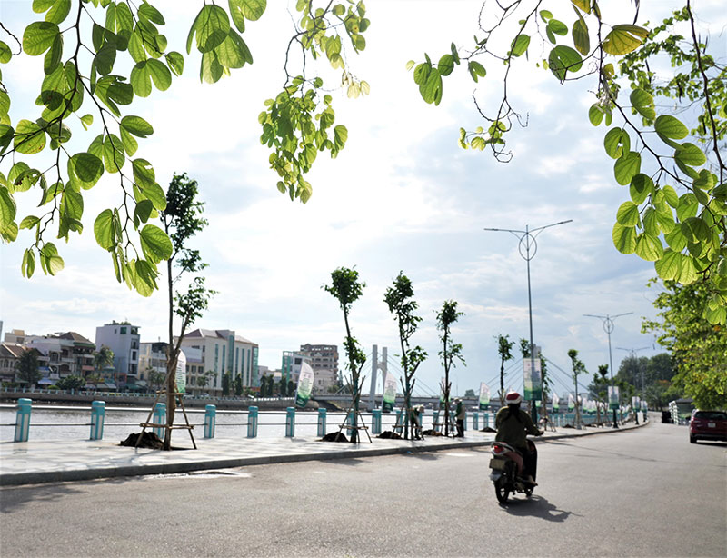 “Triệu cây xanh cho cuộc sống bừng sáng” - từ hành động nhỏ tới mục tiêu phát triển bền vững -0