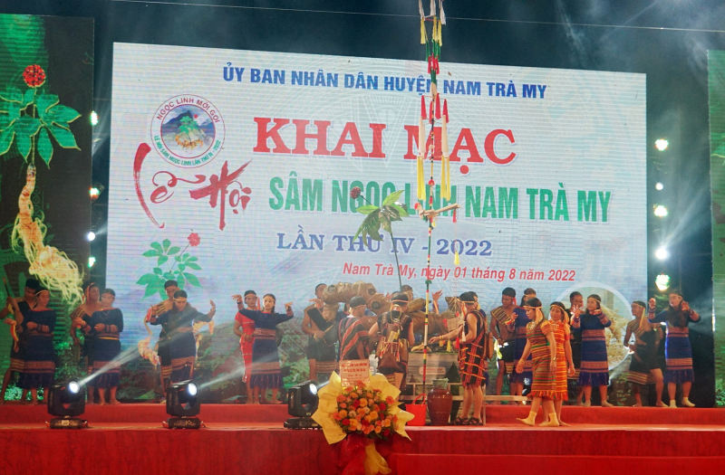 Thủ phủ sâm Ngọc Linh Nam Trà My phát triển vùng nguyên liệu sâm trên 1.500ha -0