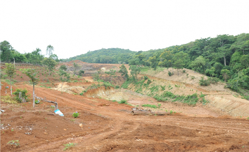 Giám đốc ngân hàng huỷ hoại đất san ủi trên đất nông nghiệp -0