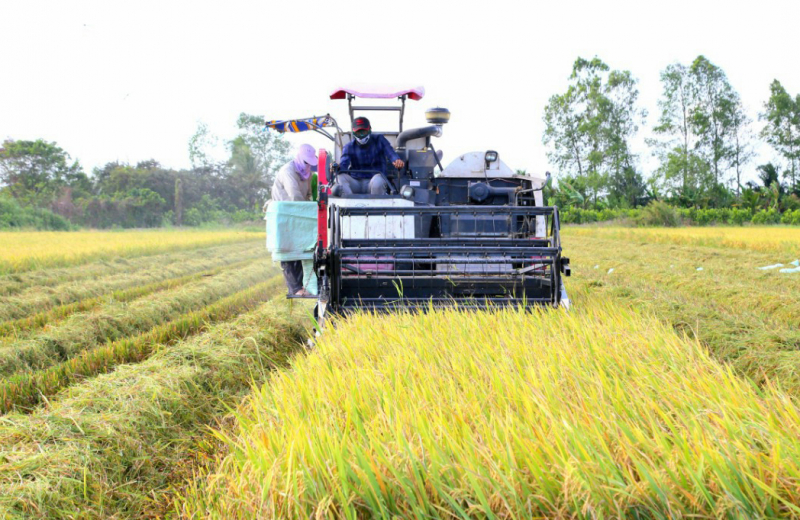 Để đất “Chín Rồng” vươn lên mạnh mẽ: Phát triển bền vững vùng ĐBSCL - Nhìn từ thực tiễn -0