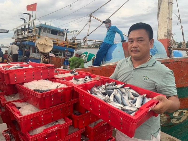 Một ngư dân trúng luồng cá “khủng” thu 250 tấn cá -0