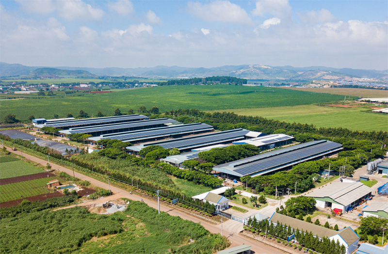 Cụm trang trại bò sữa Vinamilk Đà Lạt được vinh danh tại Giải thưởng Môi trường Việt Nam -0