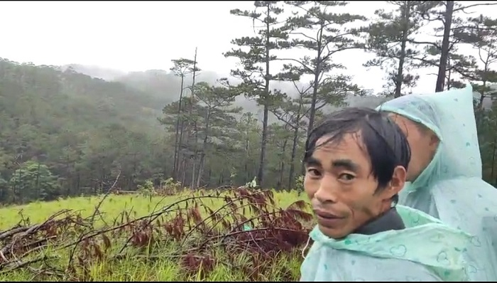 Bắt nhóm “lâm tặc” phá rừng lớn nhất Đà Lạt -0