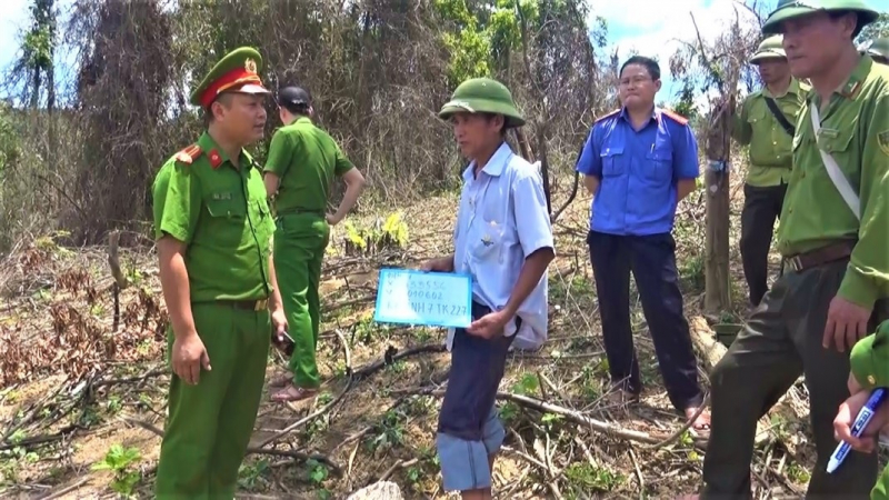 Phá rừng để trồng keo, 4 người dân bị khởi tố -0