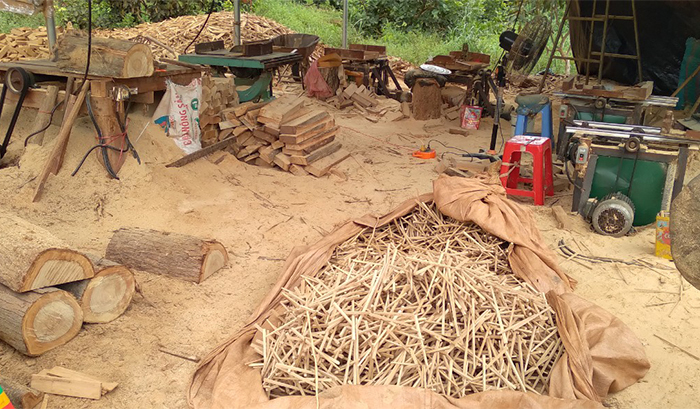 Xác minh nguồn gốc 76 lóng gỗ được tập kết ở vùng biên -1