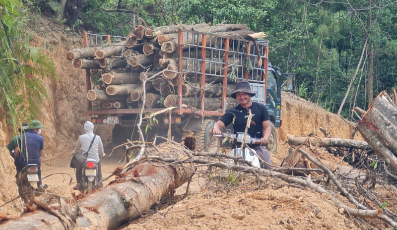 Cạo sạch rừng đầu nguồn gần 20 năm tuổi -1