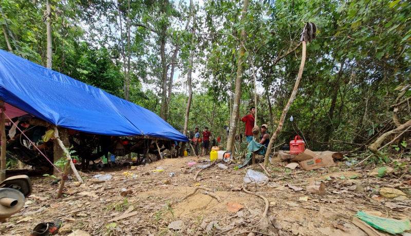 Buông lỏng quản lý, bảo vệ rừng đầu nguồn -0