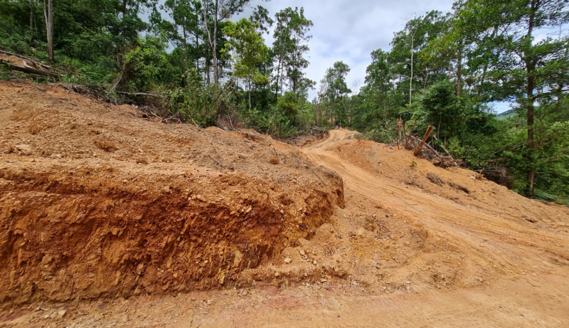 Buông lỏng quản lý, bảo vệ rừng đầu nguồn -0
