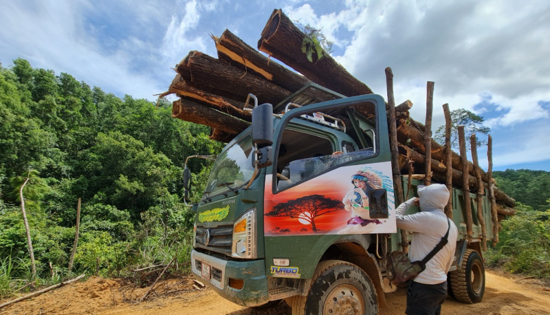 Buông lỏng quản lý, bảo vệ rừng đầu nguồn -0