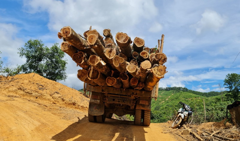 Buông lỏng quản lý, bảo vệ rừng đầu nguồn -1