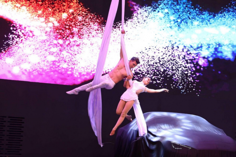 Loay hoay xiếc Việt -0