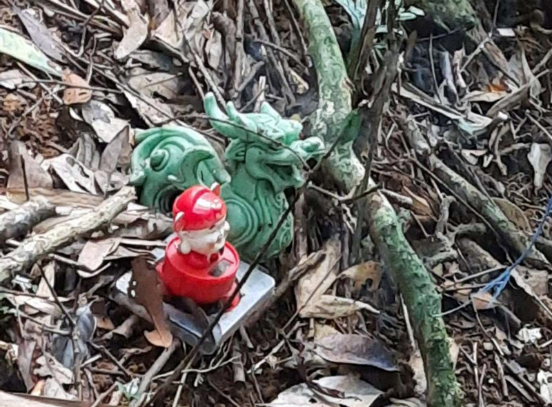 Phát hiện nhiều tình tiết liên quan trong vụ 2 thi thể giữa rừng già -0