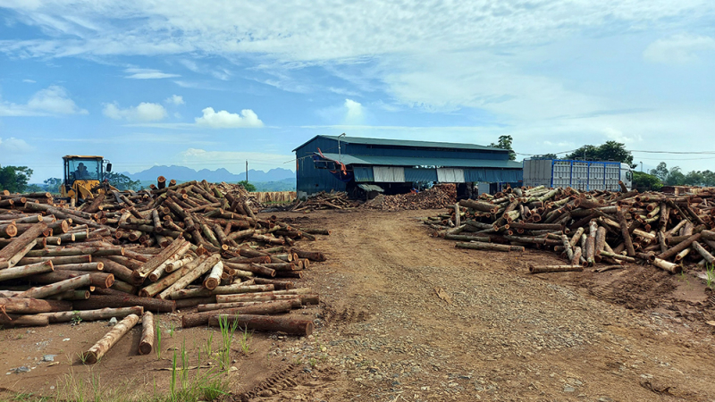 z3667005494166_90d1c458f9b137ea36ac498c5ded0af8.jpg -0