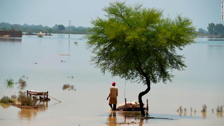 220828042838-03-pakistan-flood-082722-exlarge-169.jpg -3