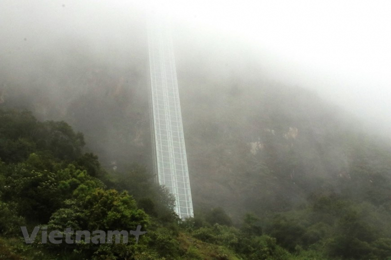 vnp_cau_may_2.jpg -5