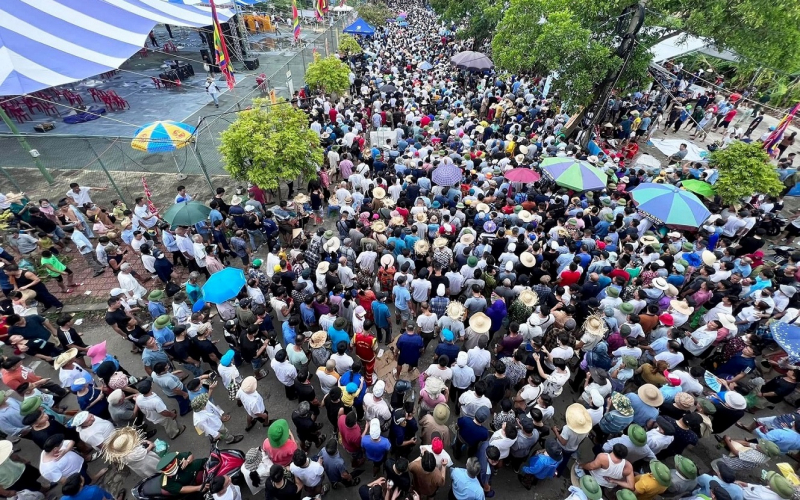 Trâu mua từ Campuchia vô địch hội chọi trâu Đồ Sơn năm 2022 -0