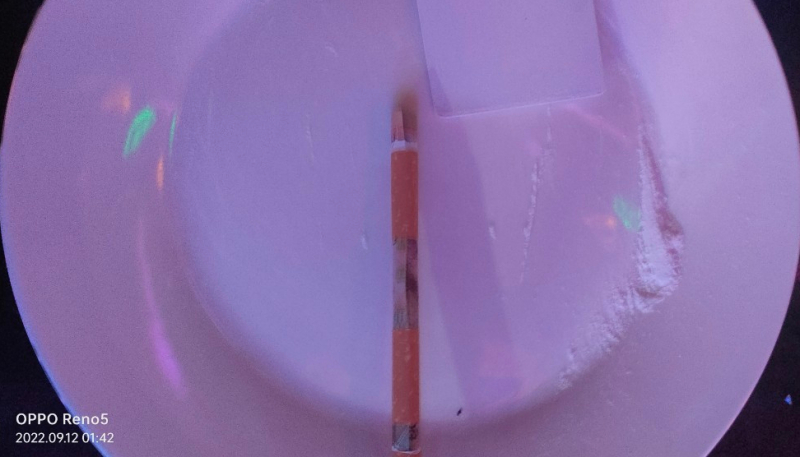 Tạm giữ hình sự 8 đối tượng có liên quan đến ma túy trong quán Karaoke -0