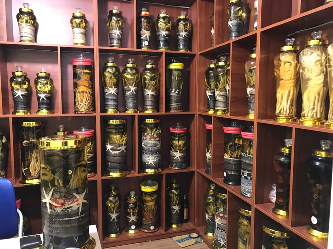 Thu giữ hơn 100 bình rượu ngâm động vật không rõ nguồn gốc -0