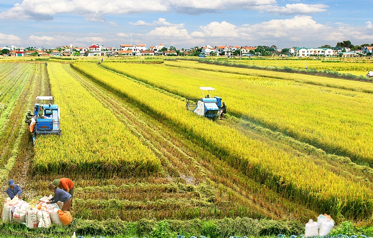 Khoảng trống mênh mông giữa nhà khoa học, chuyên gia với người nông dân -0