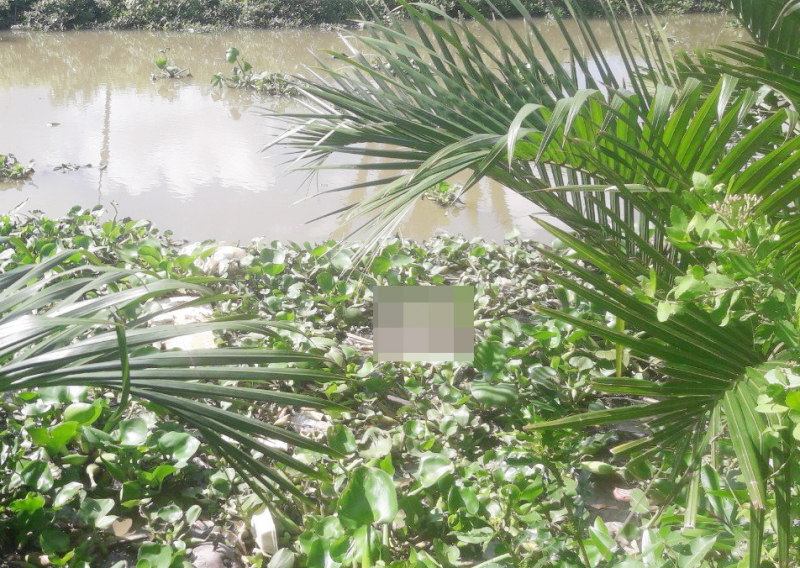 Đi bắt cá, phát hiện thi thể trẻ sơ sinh dưới sông -0