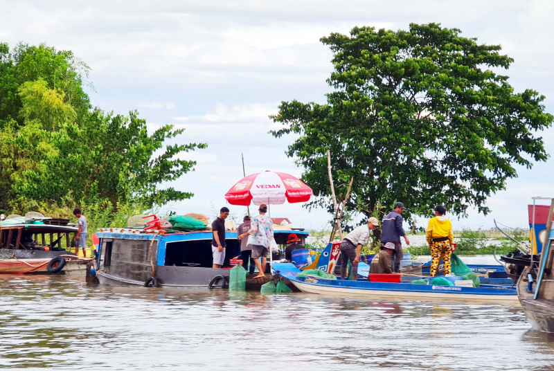 Cùng ngư dân đầu nguồn ra đồng dỡ dớn mang ra chợ cá Kinh Ruột bán -2