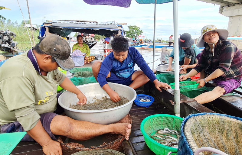 Cùng ngư dân đầu nguồn ra đồng dỡ dớn mang ra chợ cá Kinh Ruột bán -0