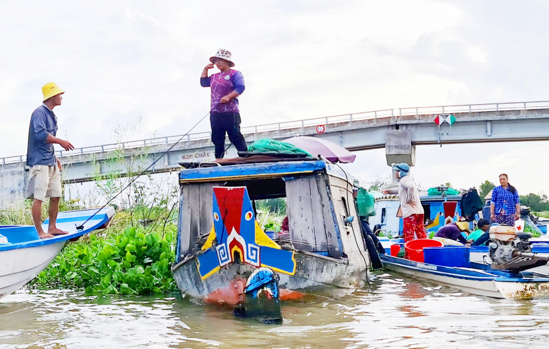 Cùng ngư dân đầu nguồn ra đồng dỡ dớn mang ra chợ cá Kinh Ruột bán -3
