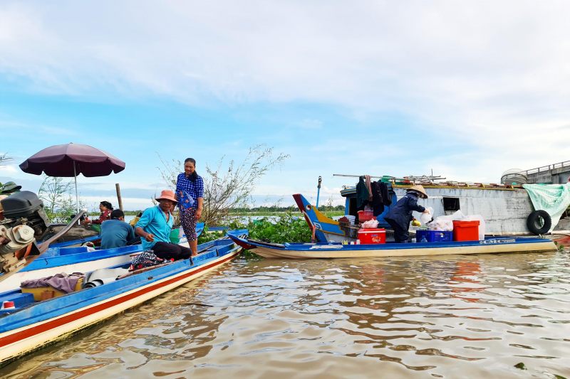 Cùng ngư dân đầu nguồn ra đồng dỡ dớn mang ra chợ cá Kinh Ruột bán -4