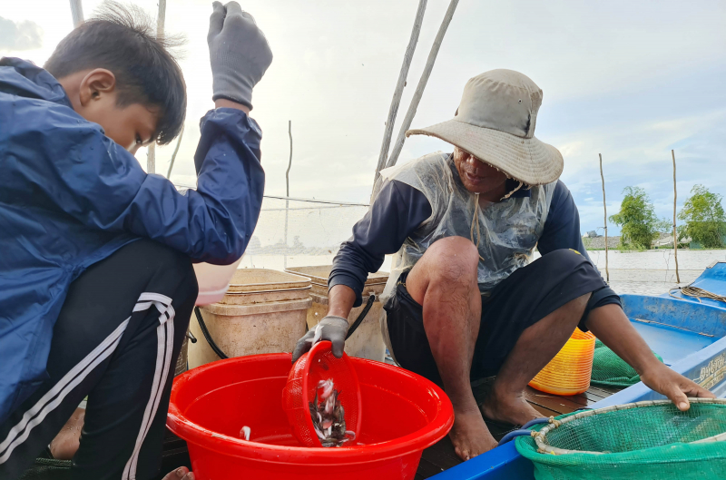 Cùng ngư dân đầu nguồn ra đồng dỡ dớn mang ra chợ cá Kinh Ruột bán -0