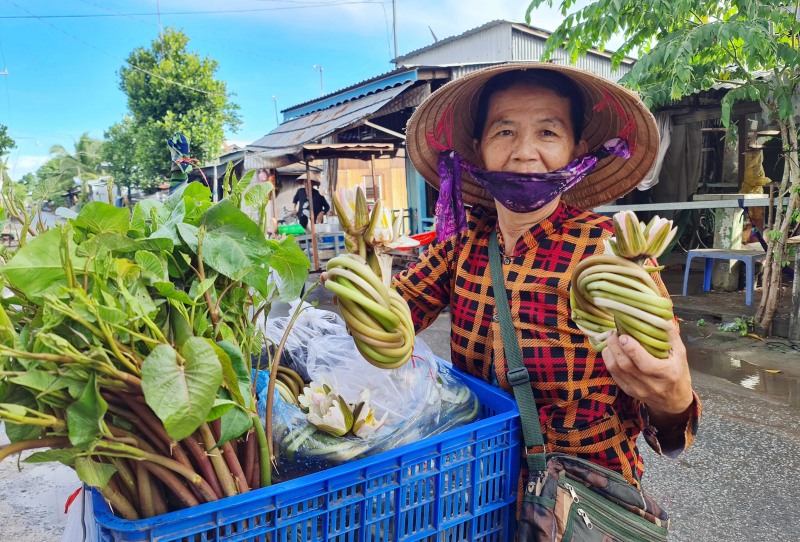Cùng ngư dân đầu nguồn ra đồng dỡ dớn mang ra chợ cá Kinh Ruột bán -1