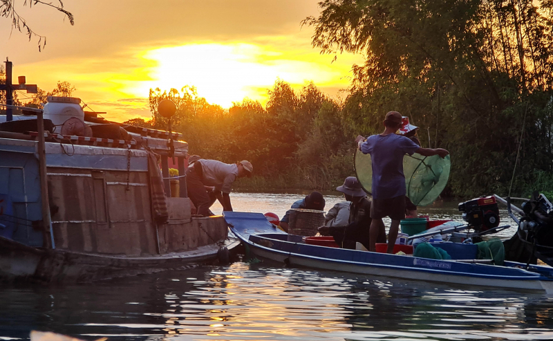 Cùng ngư dân đầu nguồn ra đồng dỡ dớn mang ra chợ cá Kinh Ruột bán -0
