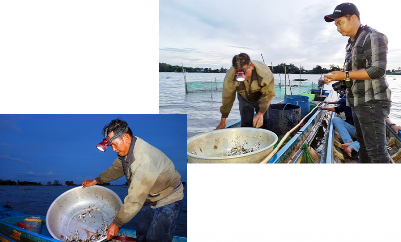 Cùng ngư dân đầu nguồn ra đồng dỡ dớn mang ra chợ cá Kinh Ruột bán -0