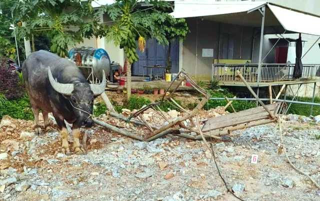 Truy tìm tài xế ô tô tông chết người rồi bỏ trốn -0