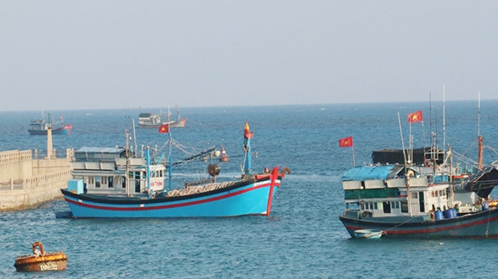 Điều tra, xử lý nghiêm tổ chức, cá nhân môi giới đưa tàu cá, ngư dân khai thác hải sản trái phép -0