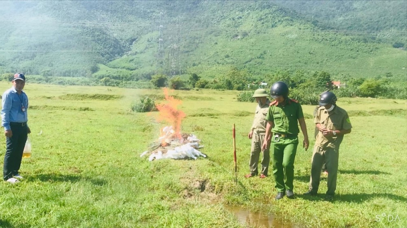 Công an xã đồng loạt ra quân ngăn chặn nạn săn bắt chim trời  -0