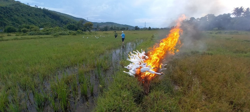 Công an xã đồng loạt ra quân ngăn chặn nạn săn bắt chim trời  -0