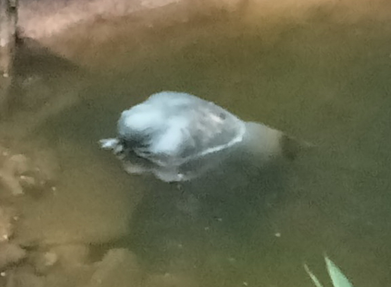                   Truy tìm tung tích nạn nhân chết bất thường giấu trong bao tải -0