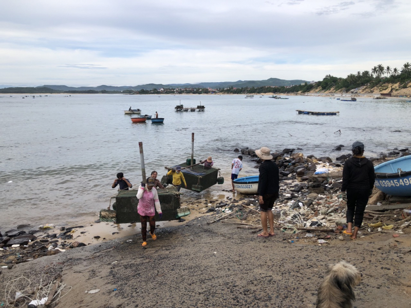        Chủ tịch UBND tỉnh Phú Yên ra lệnh cấm biển từ 15h chiều 26/9 -1