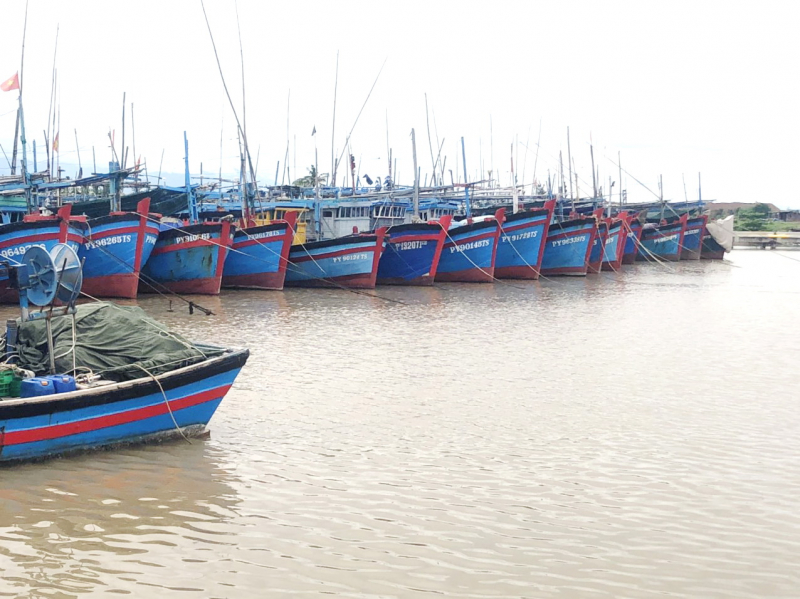        Chủ tịch UBND tỉnh Phú Yên ra lệnh cấm biển từ 15h chiều 26/9 -0