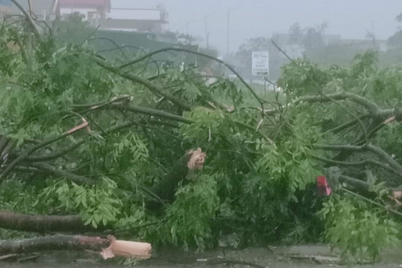Những hình ảnh đầu tiên về thiệt hại do bão số 4 tại Quảng Trị -2