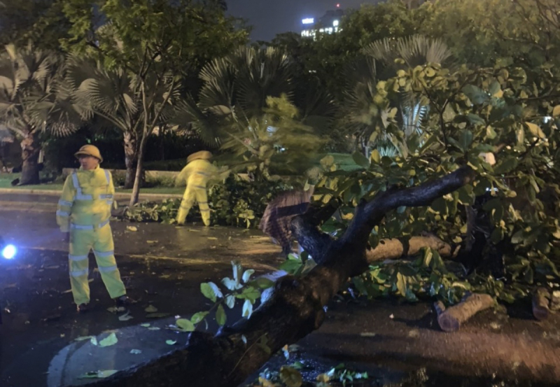 Bão Noru áp sát Đà Nẵng - Quảng Trị, nhiều nơi mưa rất to -0