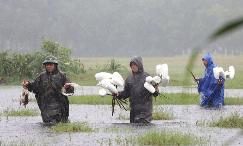 Chim trời vẫn bán công khai tại nhiều địa phương ở Hà Tĩnh -0