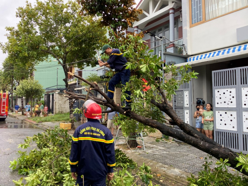 3 bài học kinh nghiệm chống bão hiệu quả từ Đà Nẵng  -3