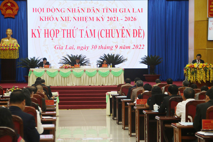 Ông Võ Ngọc Thành thôi làm đại biểu HĐND tỉnh Gia Lai -0