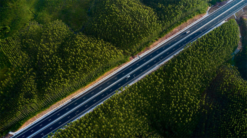 TS. Võ Trí Thành: Từ “nâu” sang “xanh”, Quảng Ninh thành công bởi cách làm táo bạo -0